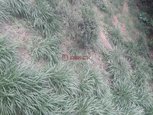 Imagem 3 de 9 de Ótimo Terreno Com 420 M² No Bairro Dos Artistas. - Te00330 - 35002162