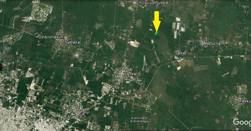 Imagen 3 de 7 de Terreno En Venta En Conkal 2.6 Hectáreas,mérida Yucatán