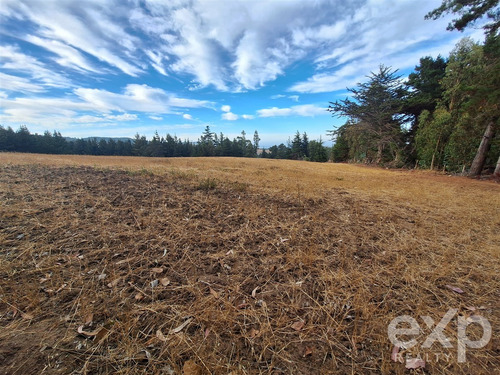 Terreno 3 Has. Construccion En Venta En Pichilemu
