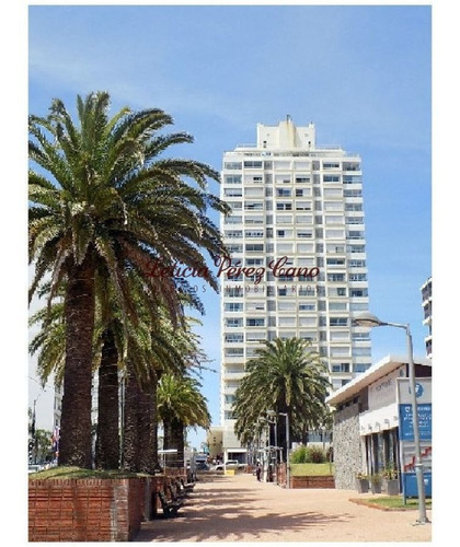 Imagen 15 de 26 de Venta Apartamento En Peninsula, 1 Dormitorios