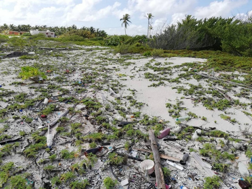 Imagen 12 de 16 de Oportunidad!! Terreno Frente Al Mar Mahahual-rio Indio P2699