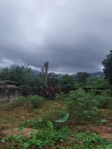 Terreno Plano, Pronto Para Construir!