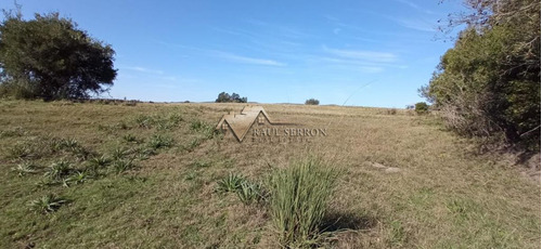 Imagen 21 de 30 de En Venta Chacra De 7,5 Has Con Casa, Ruta 39 - Maldonado Ruta 39