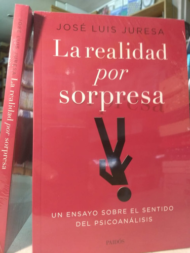 La Realidad Por Sorpresa - Juresa Jose Luis -pd