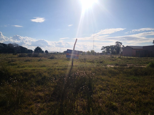 Imagen 5 de 8 de Terreno En Venta En Pavón