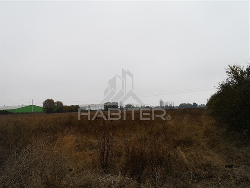 Sitio En Venta En Curicó