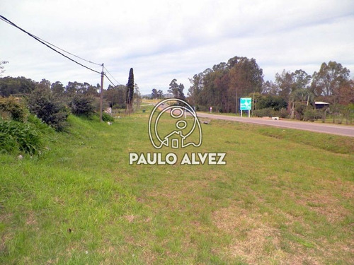 Chacras-alquiler-temporal-piriapolis-ch017