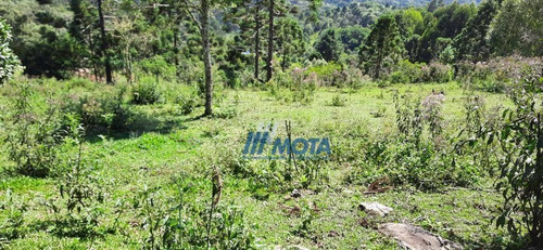 Chácara A Venda Bocaiuva Do Sul Com 2 Alqueires, Casa Mista , Galinheiro, Toda Formada Em Pastagem, Com Nascente, Cercada, Com Linda Vista! - Ch0208