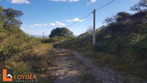 Imagen 25 de 30 de Carpintería, Lotes De 5000 M2