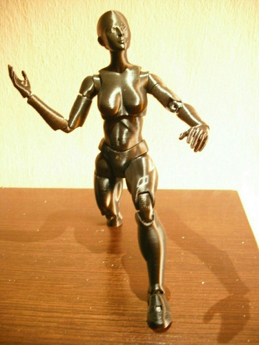 Imagen 2 de 9 de Muñeco Maniqui Femenino Articulado Body Chan 24 Cm Dibujo 3d