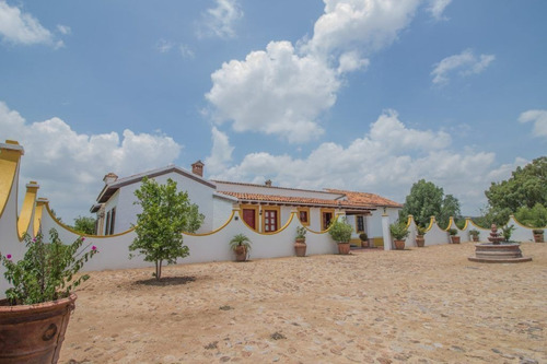 Imagen 5 de 30 de Rancho Morera