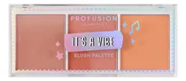 Comprar Profusion Cosmetics Paleta De Tres Rubores Its A Vibe