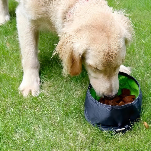 Comedero Portátil Para Perros