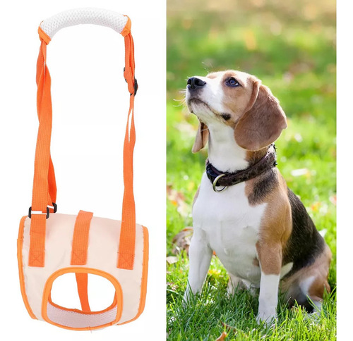 J Arnés De Elevación For Perros Discapacitados Soporte De