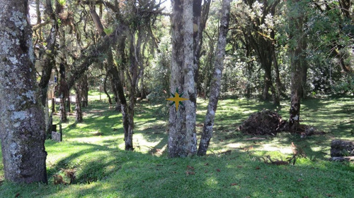Imagem 2 de 17 de Terreno Residencial Em Condomínio - 816