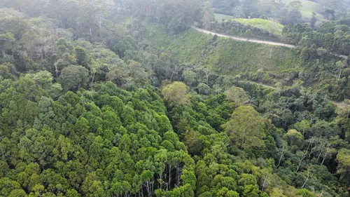 Vendo Permuto Finca Líbano Tolima