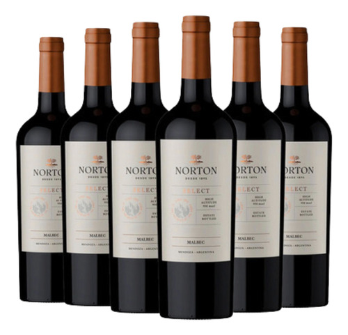 Vino Tinto Cabernet Sauvignon Select Norton Pack X6
