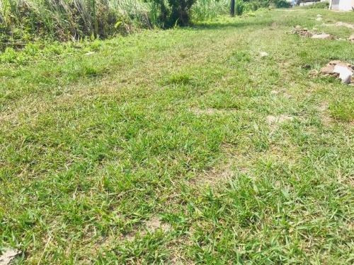 Imagem 1 de 4 de Terreno No Gaivota, À 1000 Metros Do Mar | 7177 E