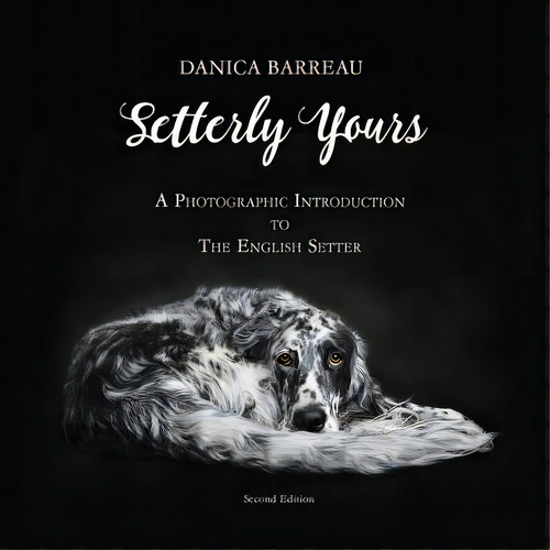 Setterly Yours: A Photographic Introduction To The English Setter, De Barreau, Danica. Editorial Lightning Source Inc, Tapa Blanda En Inglés