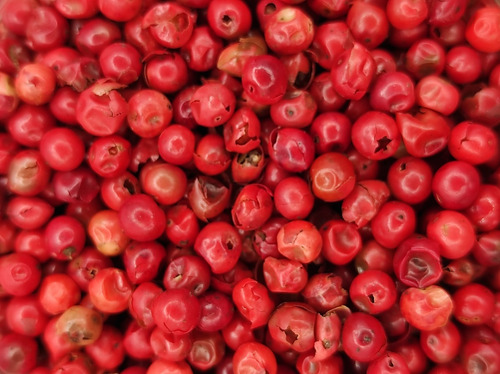 50 Semillas Pimienta Brasil Rosa Schinus Terebinthifolius