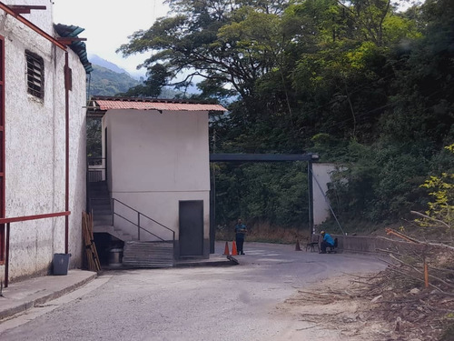 Imagen 2 de 30 de Terreno En Mampote Mls: 23-6747 (linda Sahhar)
