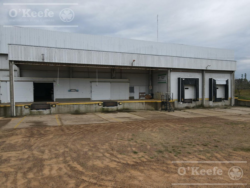 Imagen 3 de 30 de Planta De Acondicionamiento Y Frio En Venta En Concordia Entre Rios - Oportunidad
