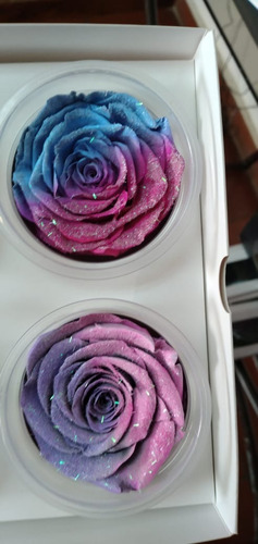 Imagen 2 de 5 de Preserved Roses