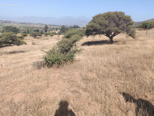 Terreno A Orilla De Carretera En Tabolango (96812)