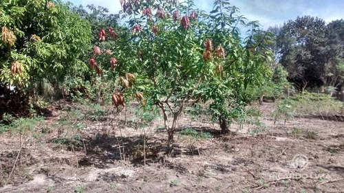 Imagem 14 de 24 de Chácara Residencial À Venda, Zona Rural, Piracicaba. - Ch0040