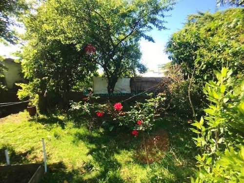 Imagen 25 de 27 de Tarariras - Muy Linda Casa