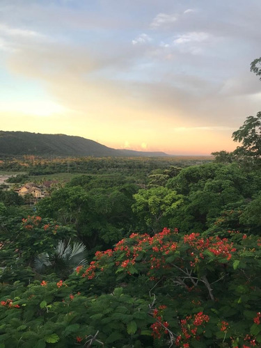 Imagen 14 de 15 de Casa En Alquiler En Sanare Cerca Del Parque Morrocoy