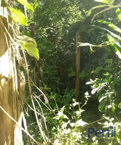 Imagem 5 de 5 de Terrenos - Urbano - 2680