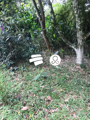 Espectacular Lote Ideal Para Finca O Casa Vereda Cabeceras Llanogrande