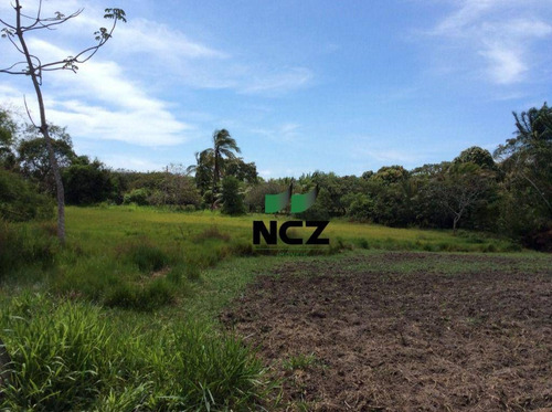 Imagem 12 de 20 de Sítio À Venda, 100000 M² Por R$ 750.000,00 - Cascalheira - Camaçari/ba - Si0046