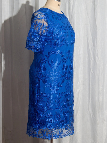 Vestido Plus Size Festas Casamentos Elegante Renda Dalicis
