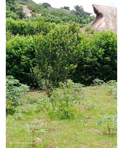 Lote En Venta, Ubicado En Turbaco,bolivar