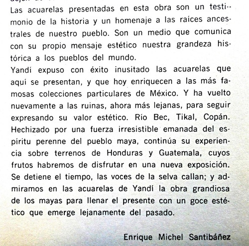 Libro: Acuarelas De Las Ruinas Mayas - Yandi Lizardo (Usado)
