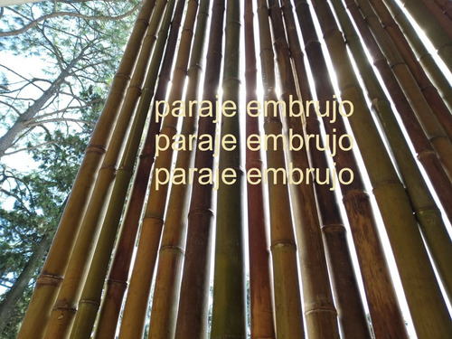 Cañas. Bambu Tacuara Pergola Cerco Decoracion. (Usado)