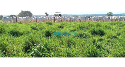 Imagem 23 de 25 de Fazenda A Venda - Área Rural - Fa0275