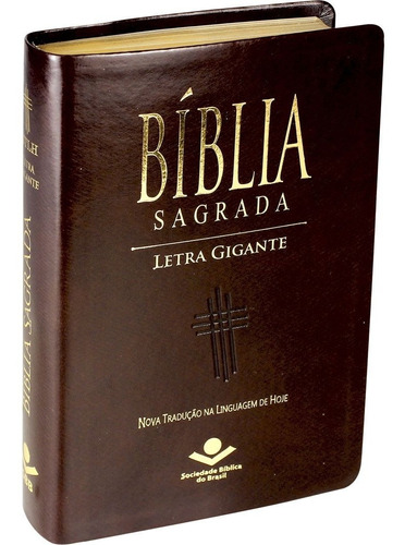 Bíblia Sagrada Linguagem De Hoje Ntlh Letra Gigante