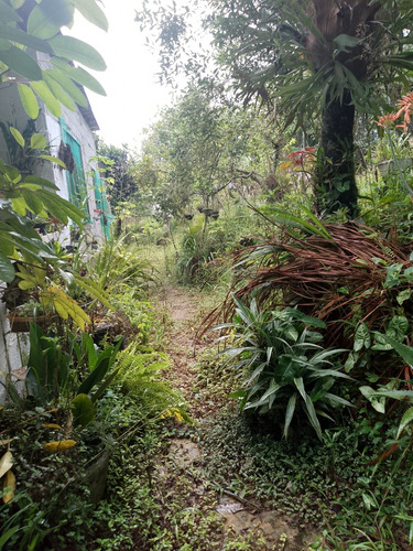 Chácara Com Casa