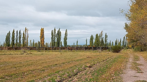 Imagen 10 de 18 de Venta - Finca - Las Paredes, San Rafael