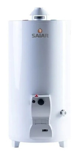 Imagen 3 de 6 de Termotanque Saiar 80 Lts Multigas De Pie Superior Beiro