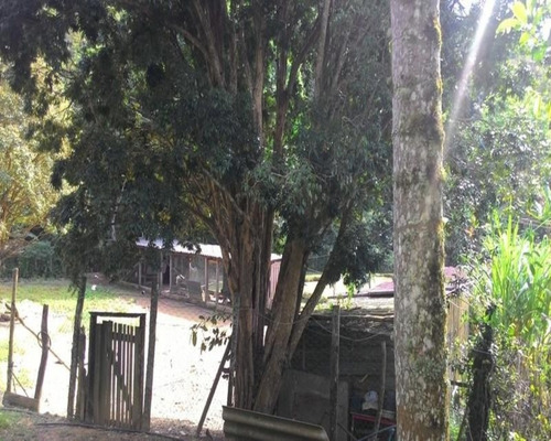 Chacara - Ch00076 - 32820346