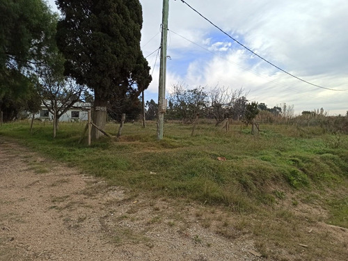 Sauce,chacra, Casas,galpones, Prox A Ruta 6, Vendo Financio