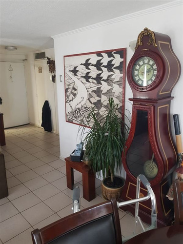 Findhome Vende Centrico Depto En Chillan De 3 D Rucamanqui