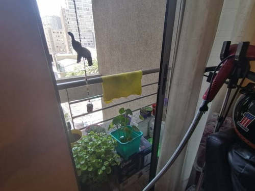 Nataniel Con Terraza