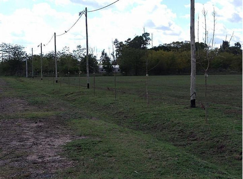 Imagen 4 de 6 de Terrenos Con Escritura En Domselaar