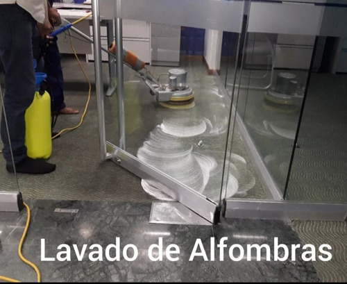 Limpieza Y Lavado De Alfombras