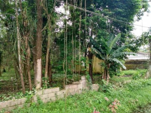 Imagem 8 de 9 de Terreno De Chácara No Bairro Jardim Aguapeú, Em Itanhaém, Com 2.500 M² De Área Total